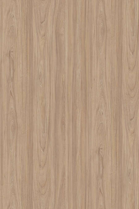 5500 Natural Noble Elm