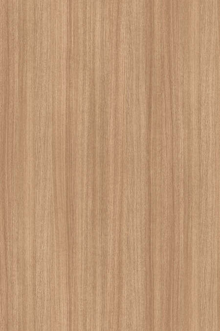 5501 Slavonia Oak